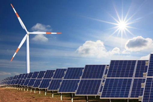 Lĩnh vực kinh doanh